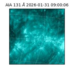 saia - 2026-01-31T09:00:06.625000