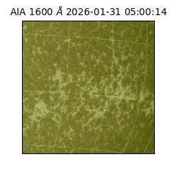 saia - 2026-01-31T05:00:14.126000