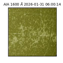 saia - 2026-01-31T06:00:14.126000