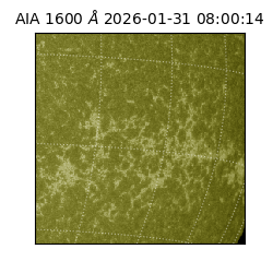 saia - 2026-01-31T08:00:14.126000