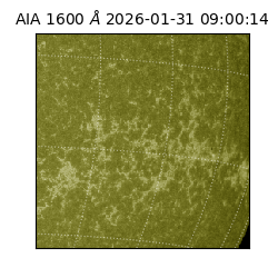 saia - 2026-01-31T09:00:14.125000