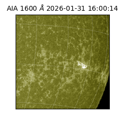 saia - 2026-01-31T16:00:14.125000