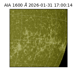 saia - 2026-01-31T17:00:14.126000