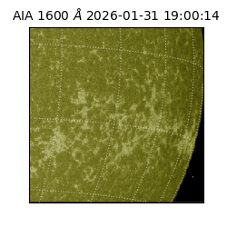 saia - 2026-01-31T19:00:14.126000