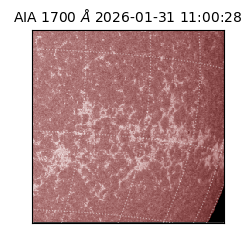 saia - 2026-01-31T11:00:28.737000