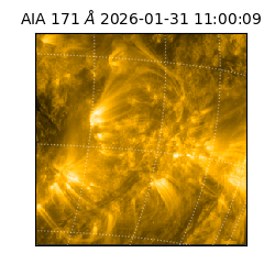 saia - 2026-01-31T11:00:09.350000