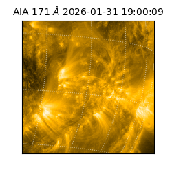 saia - 2026-01-31T19:00:09.350000