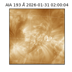 saia - 2026-01-31T02:00:04.846000