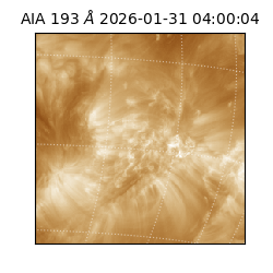 saia - 2026-01-31T04:00:04.843000