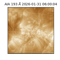 saia - 2026-01-31T06:00:04.843000