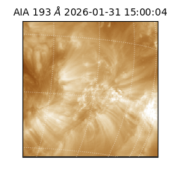 saia - 2026-01-31T15:00:04.843000