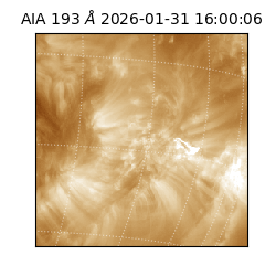 saia - 2026-01-31T16:00:06.936000