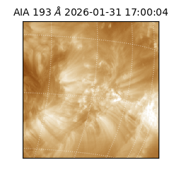 saia - 2026-01-31T17:00:04.843000