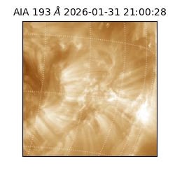 saia - 2026-01-31T21:00:28.843000