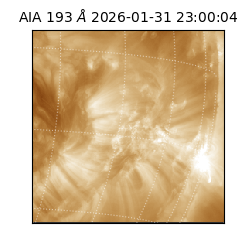 saia - 2026-01-31T23:00:04.843000