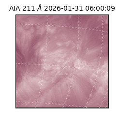 saia - 2026-01-31T06:00:09.633000