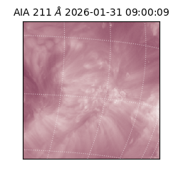 saia - 2026-01-31T09:00:09.626000