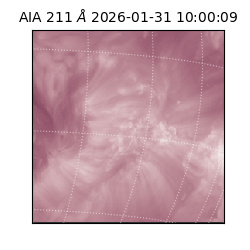 saia - 2026-01-31T10:00:09.622000