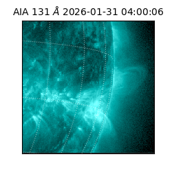 saia - 2026-01-31T04:00:06.622000