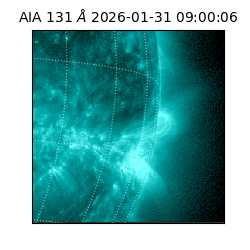 saia - 2026-01-31T09:00:06.625000