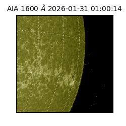 saia - 2026-01-31T01:00:14.125000