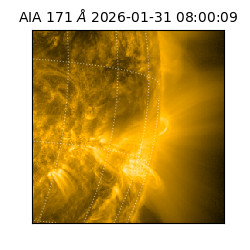 saia - 2026-01-31T08:00:09.350000