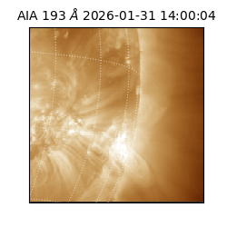 saia - 2026-01-31T14:00:04.843000
