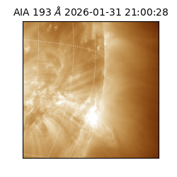 saia - 2026-01-31T21:00:28.843000