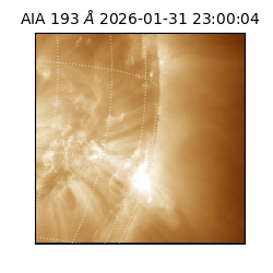 saia - 2026-01-31T23:00:04.843000