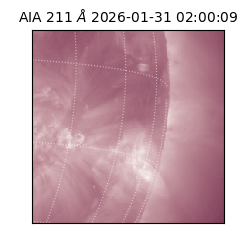 saia - 2026-01-31T02:00:09.626000