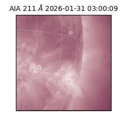 saia - 2026-01-31T03:00:09.630000