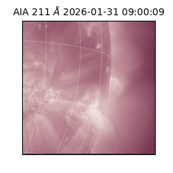 saia - 2026-01-31T09:00:09.626000