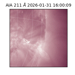 saia - 2026-01-31T16:00:09.626000