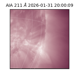 saia - 2026-01-31T20:00:09.626000