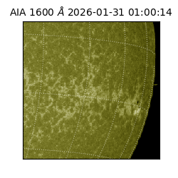 saia - 2026-01-31T01:00:14.125000