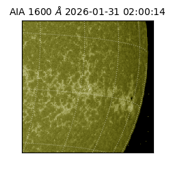 saia - 2026-01-31T02:00:14.126000