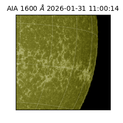 saia - 2026-01-31T11:00:14.126000