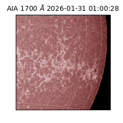 saia - 2026-01-31T01:00:28.721000