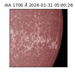 saia - 2026-01-31T05:00:28.718000