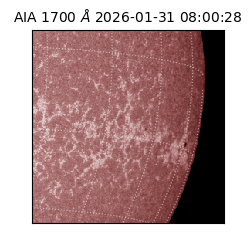 saia - 2026-01-31T08:00:28.713000