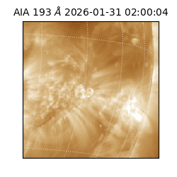 saia - 2026-01-31T02:00:04.846000