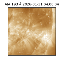 saia - 2026-01-31T04:00:04.843000