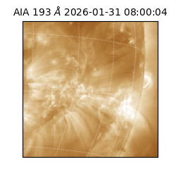 saia - 2026-01-31T08:00:04.843000