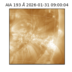 saia - 2026-01-31T09:00:04.843000