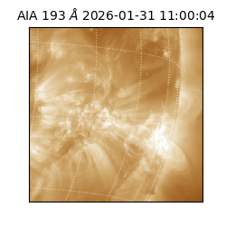 saia - 2026-01-31T11:00:04.843000