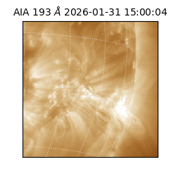 saia - 2026-01-31T15:00:04.843000