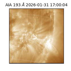 saia - 2026-01-31T17:00:04.843000