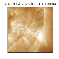 saia - 2026-01-31T19:00:04.843000