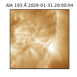 saia - 2026-01-31T20:00:04.843000