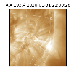 saia - 2026-01-31T21:00:28.843000